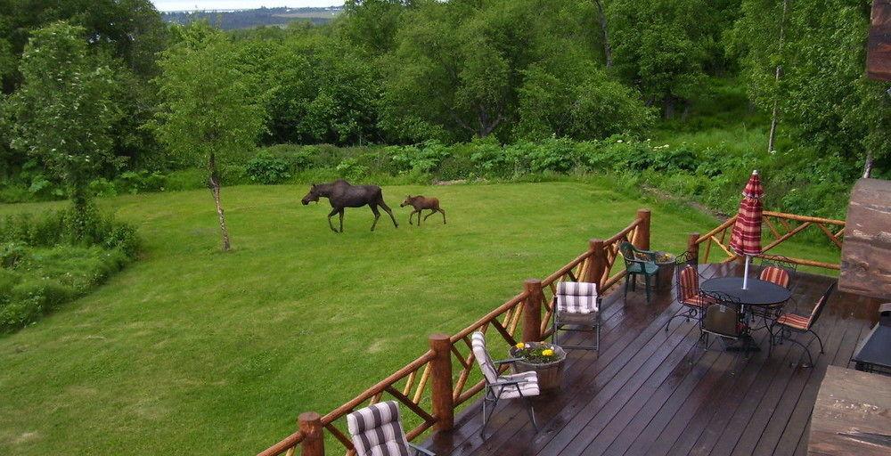 Juneberry Lodge โฮเมอร์ ภายนอก รูปภาพ